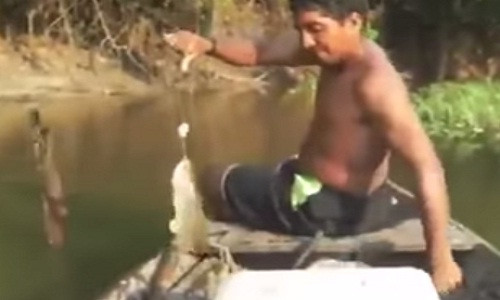 Xuat hien Thanh cau ca sieu nhanh khong dung can cau