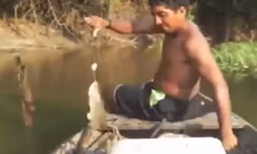 Xuat hien Thanh cau ca sieu nhanh khong dung can cau