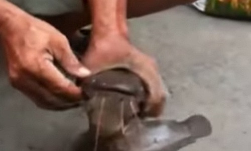 Kinh ngac canh cau ca tre duoi cong o TP HCM