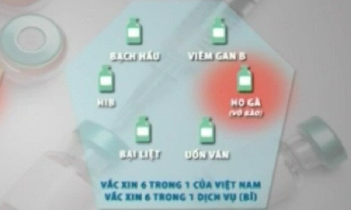 Viet Nam san xuat vac-xin 6 trong 1 nhu the nao?