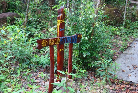 Ngoài việc xây trang trại bảo tồn loài chó xoáy, ông Tuấn còn xây nghĩa trang để chôn cất chó bị bệnh, sàng lọc khi không đạt yêu cầu.