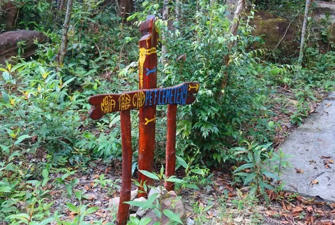 Ngoài việc xây trang trại bảo tồn loài chó xoáy, ông Tuấn còn xây nghĩa trang để chôn cất chó bị bệnh, sàng lọc khi không đạt yêu cầu.