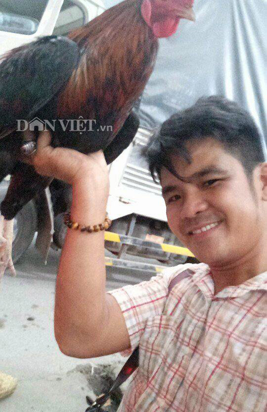 Chủ sở hữu chú gà trống 3 chân kỳ lạ nói trên là anh Nữ Hoa (ngụ xã Trung Hiếu, huyện Vũng Liêm tỉnh Vĩnh Long). Chú gà trống có màu đỏ, cân nặng 2,7kg thoạt nhìn như bao chú gà khác nhưng đặc biệt có cái chân thứ ba được mọc ra từ chân chính. Khi mang gà về rất đông người tìm đến để xem và vô cùng thắc mắc vì trước giờ chưa từng thấy con gà trống nào có hình dạng lạ lùng như vậy. Đặc biệt, chú gà này đá rất hay.