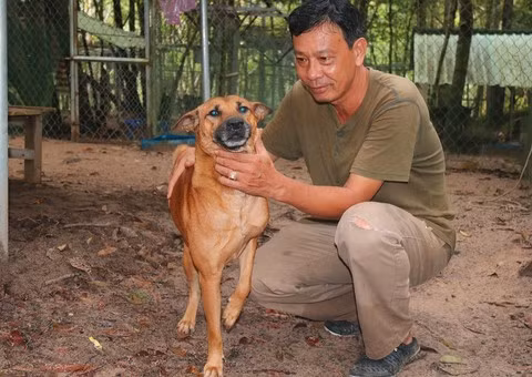 Ông Tuấn kể, thuở nhỏ ông thường hay dẫn chó đi vào trong rừng bắt cá, ong, săn chuột và biết đây là loại vật trung thành, bảo vệ chủ. Sau 4 lần ra đảo Phú Quốc, ông mua được 1 con chó xoáy ở xã Gành Dầu đem về nuôi. Vài tháng sau, chó bỗng lăn ra chết. Giữa lúc 5 ha tôm sú đang lúc “ăn nên làm ra”, ông Tuấn quyết bỏ ngang và quyết định thế chấp căn nhà đang ở để lấy 100 triệu tiếp tục đầu tư cho đàn chó, lập nên trang trại chó.
