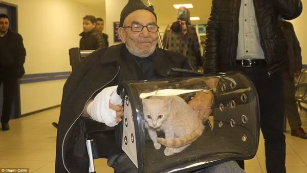 Ngoài chú mèo này, ông cũng nuôi thêm một số con gà, nhưng chúng đã bị chôn vùi cùng đám cháy.