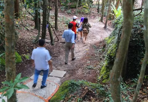 Cách nay 2 năm, ông Tuấn ký hợp đồng thuê 4,8 ha đất rừng với trong thời hạn 50 năm để bảo tồn, nhân giống chó kết hợp với làm du lịch.