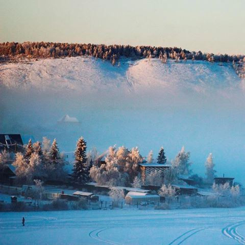 Khắp nơi tuyết phủ trắng xóa một màu