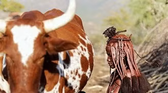 Phụ kiện trên người họ thường khá cầu kỳ...