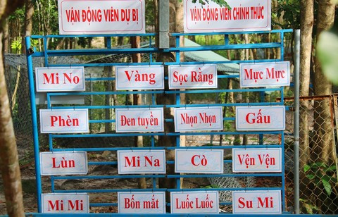 Khu trường đua có 16 vận động viên “khuyển”, trong đó 8 chính thức và 8 dự bị đều được đặt tên.