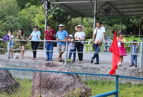 Mỗi ngày trường đua có 2 – 4 đợt tùy vào lượng khách đến tham quan.
