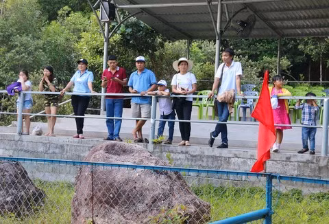 Mỗi ngày trường đua có 2 – 4 đợt tùy vào lượng khách đến tham quan.