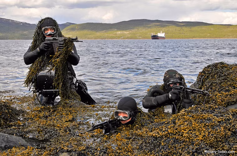 Theo thiết kế, APS có thể bắn được trên cạn nhưng chỉ sử dụng chức năng này trong trường hợp khẩn cấp vì nó sẽ trở nên không ổn định trong không khí làm giảm tuổi thọ của khẩu súng trầm trọng và tầm bắn hiệu quả rất ngắn chỉ khoảng chục mét. Do đó người nhái Liên Xô trước đây khi hoạt động thường mang theo tới hai loại vũ khí một là APS và hai là một khẩu súng trường tấn công AK khác. Nguồn ảnh: military-today.