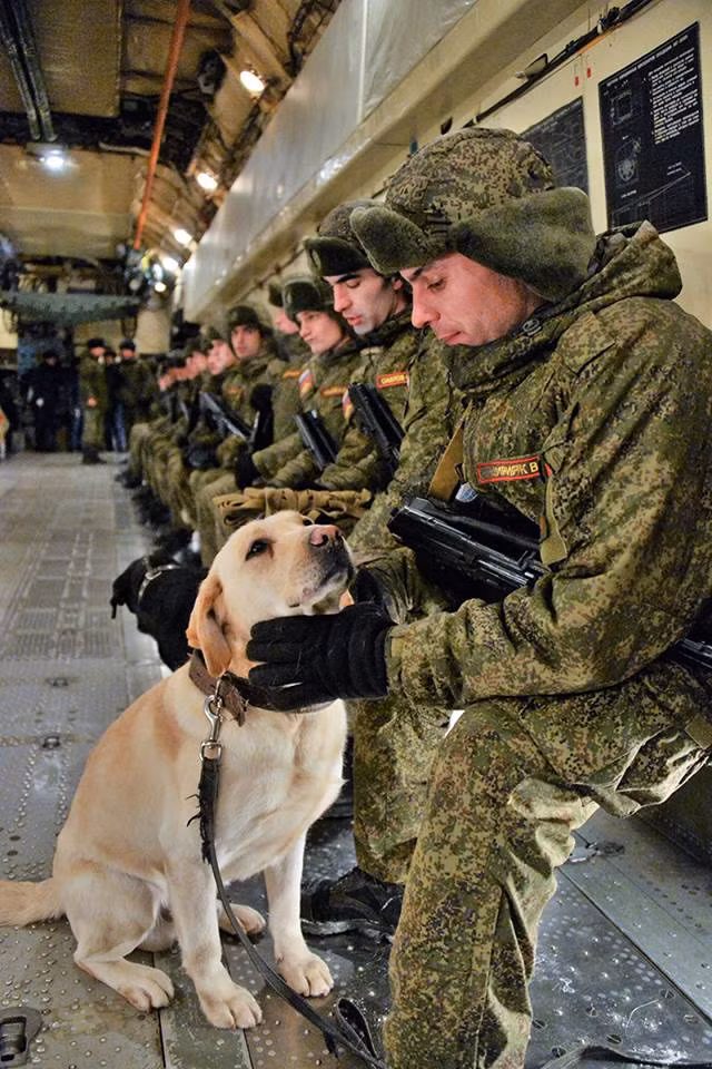 Một binh sĩ công binh Nga cùng chú chó nghiệp vụ của mình chuẩn bị lên đường đến Đông Aleppo. Nguồn ảnh: Bộ Quốc phòng Nga.