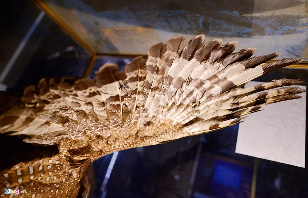 Ở làng Nhân Mỹ, mọi người đều có trách nhiệm bảo quản chim nhưng công việc chính được giao cho các thủ từ, ban quản lý di tích đình và hội người cao tuổi.