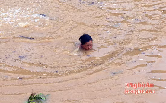 Phụ nữ ở bản Bình Sơn 1 (Nghệ An) xuống sông vớt củi. Nguồn ảnh: Báo Nghệ An.