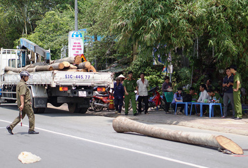 Một vụ tai nạn thương tâm đã xảy ra hồi tháng 10 có liên quan đến cần cẩu gãy. Theo đó, cần cẩu đang cẩu cây tại bãi đất trống nằm cạnh tỉnh lộ 745 (thuộc khu phố Hưng Thọ, phường Hưng Định, thị xã Thuận An, tỉnh Bình Dương) lên xe thì cần cẩu bị gãy, khiến cho cây rơi đè chết một nam sinh 15 tuổi (quê An Giang). Nguồn ảnh: Người lao động.