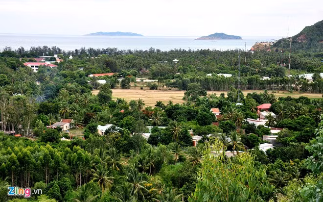  Làng phong Quy Hòa (phường Ghềnh Ráng, TP Quy Nhơn) - nơi có gần 260 hộ với hơn 1.000 nhân khẩu sinh sống. Ông Trần Công Nghĩa, Chủ tịch Hội đồng bệnh nhân Phong - Da liễu Quy Hòa, cho biết trong số này có 435 bệnh nhân phong (70% là tàn tật nặng). Đồng cảnh ngộ, họ đến với nhau lập mái ấm gia đình, nương tựa nhau vượt qua số phận bất hạnh.