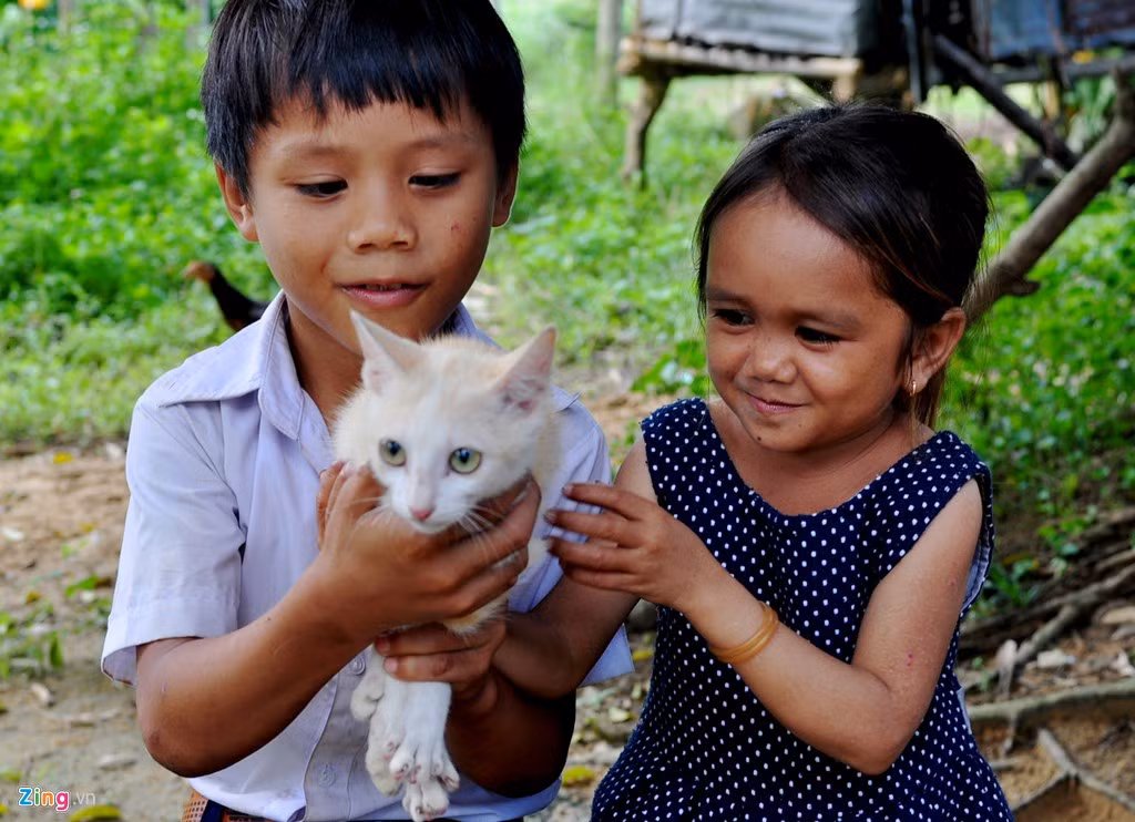 Mẹ vắng nhà lặn lội lên Tây Nguyên hái cà phê thuê, những lúc buồn, cô gái trò chuyện, vui đùa cùng các em trai và chú mèo.