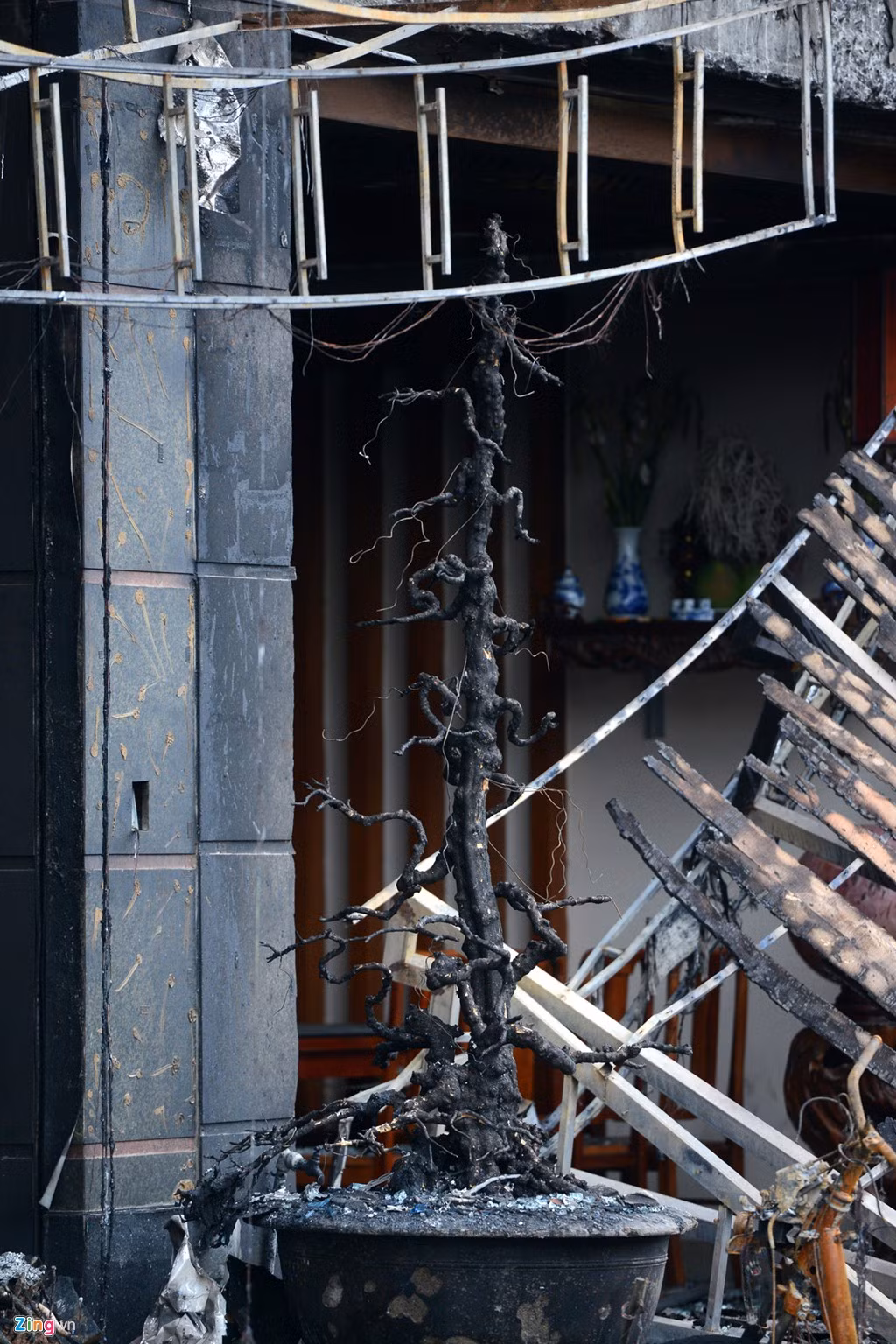 Sức hủy diệt của ngọn lửa khiến cho những cây cảnh dựng trước cửa trụi lá, thân cây giống như một thanh thanh củi.