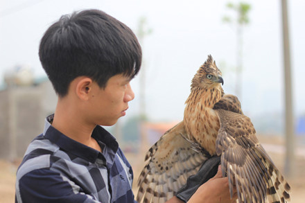 cFalconner (Người huấn luyện chim) Trần Quang Anh với con chim ưng Ấn Độ nặng khoảng 350 gram vừa mới thi xong của mình. Theo Quang Anh với loại chim hoang dã chưa qua huấn luyện có giá khoảng 1,5 triệu. Sau huấn luyện có thể lên tới 5 triệu.