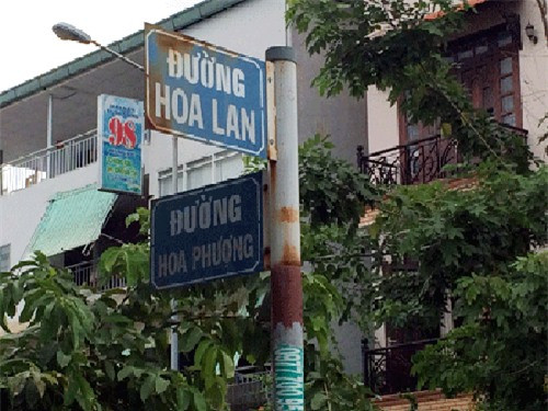"Đường hoa phượng", "đường hoa lan" đọc lên đã đầy thơ mộng.