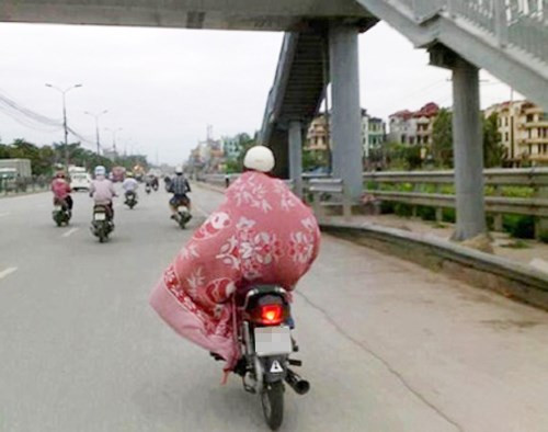 Và đây... chính là cách chúng ta "sống sót" khi gió lạnh ập về bất ngờ.