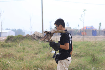 Những chú chim được huấn luyện nhanh như cắt chinh phục con mồi.