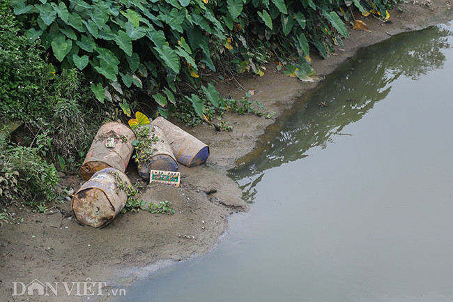 Nhiều thùng nằm la liệt ven sông, chất thải bên trong chảy thẳng xuống dòng nước gây lo ngại cho những hộ dân sản xuất nông nghiệp quanh đây.