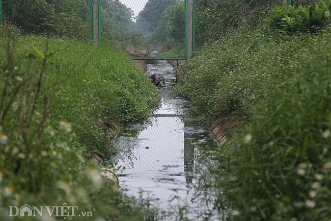 Từ đây, dòng nước mang theo chất thải độc hại chảy đi khắp nơi, đe dọa đời sống và sức khỏe của những người dân sinh sống trong khu vực.