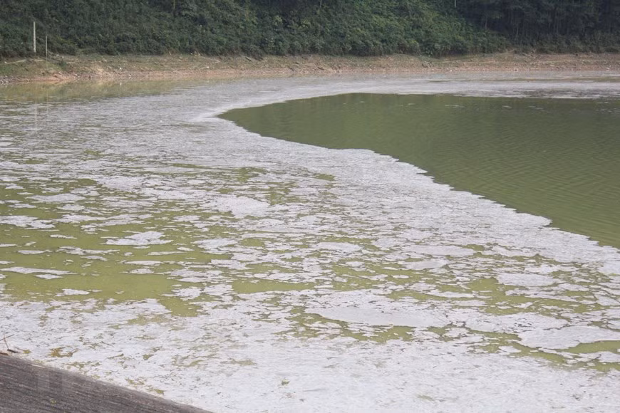 Tuy nhiên, từ tháng 2/2019 đến nay, nước hồ đổi từ màu xanh sang vàng rồi đóng váng trắng ngà có mùi hôi tanh nồng nặc…Người dân cho rằng sở dĩ nước hồ bị ô nhiễm là do đơn vị nuôi cá lồng trên lòng hồ. (Ảnh: Quân Trang/TTXVN)