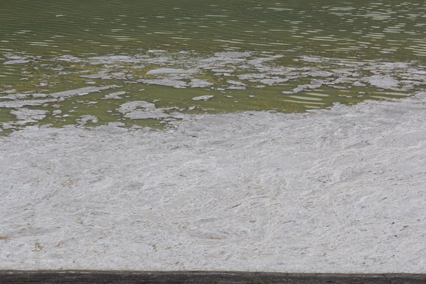 Nước hồ nổi váng đặc quánh bốc mùi hôi tanh. (Ảnh: Quân Trang/TTXVN)