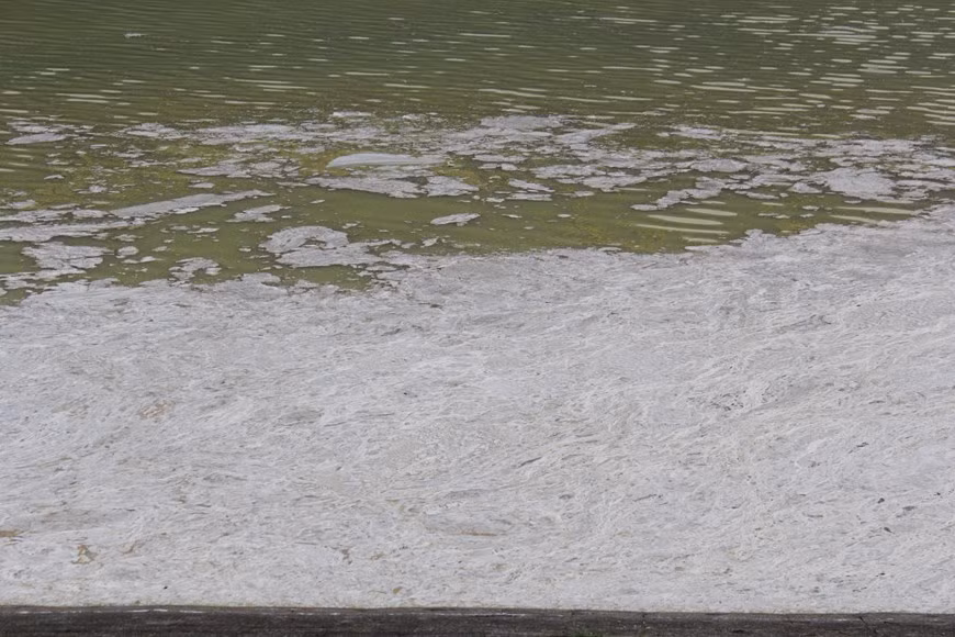 Nước hồ nổi váng đặc quánh bốc mùi hôi tanh. (Ảnh: Quân Trang/TTXVN)