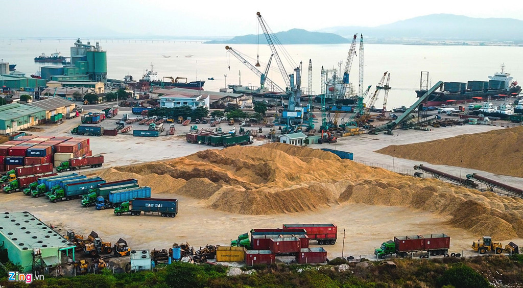 Cảng Quy Nhơn sở hữu 165 phương tiện, thiết bị chuyên dụng trị giá hàng trăm tỷ đồng như: Cẩu trục có sức nâng từ 7 đến 100 tấn, xe nâng, tàu lai, xe tải, xe xúc, xe đào, trạm cân. Riêng cần cẩu bờ di động sức nâng 100 tấn có giá trên thị trường khoảng 150 tỷ đồng.