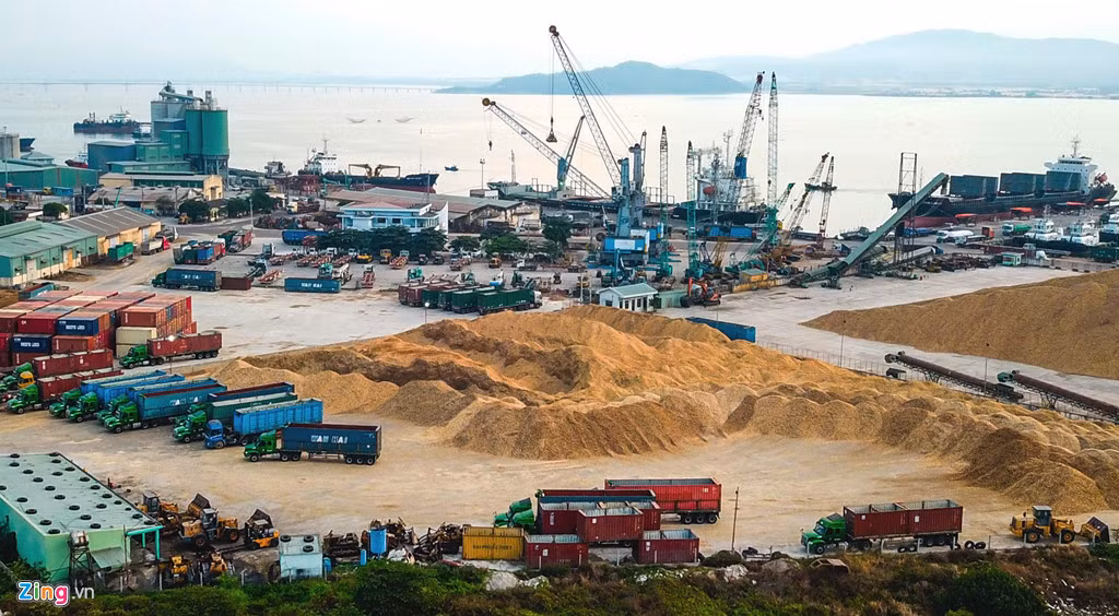 Cảng Quy Nhơn sở hữu 165 phương tiện, thiết bị chuyên dụng trị giá hàng trăm tỷ đồng như: Cẩu trục có sức nâng từ 7 đến 100 tấn, xe nâng, tàu lai, xe tải, xe xúc, xe đào, trạm cân. Riêng cần cẩu bờ di động sức nâng 100 tấn có giá trên thị trường khoảng 150 tỷ đồng.