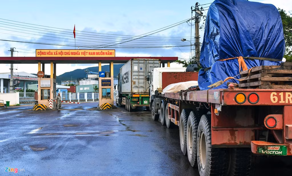 Trước khi cổ phần hóa, cảng Quy Nhơn có trụ sở làm việc 3 tầng, hàng chục gian nhà ở và hơn 300.000 m2 "đất vàng" trong nội thành Quy Nhơn dưới hình thức thuê đất 50 năm hoặc giao không thu tiền sử dụng đất.