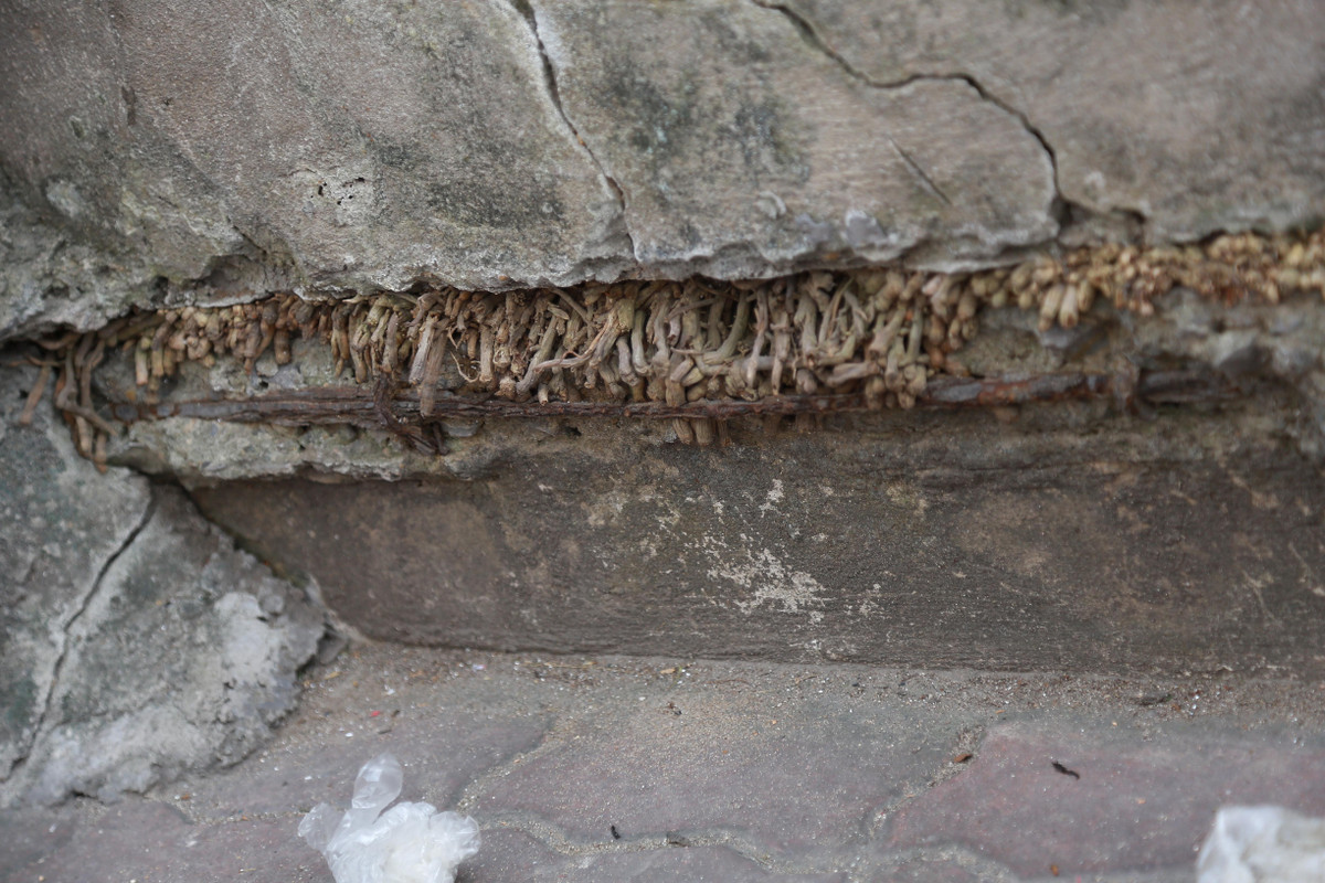 Phần chân tường hư hỏng toàn bộ.