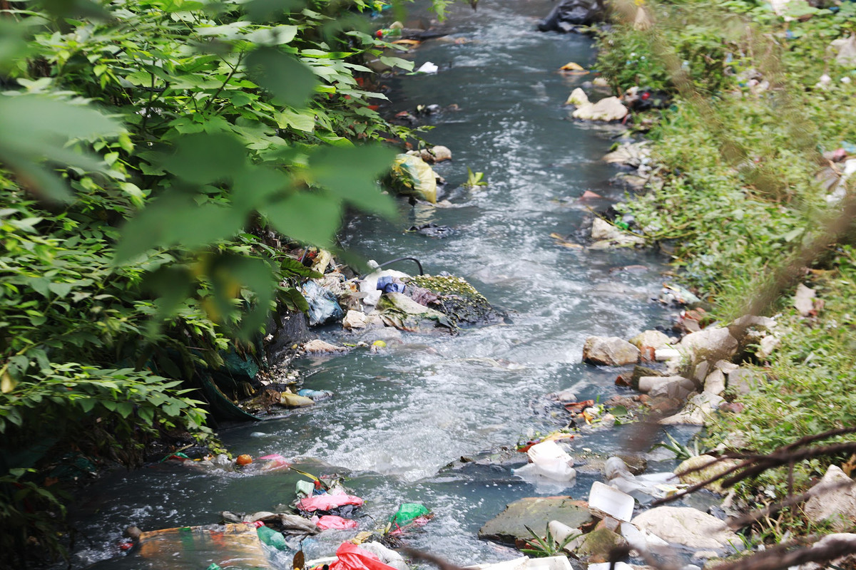 Mương nước một phần vì vậy bốc mùi hôi thối, nước mương đen ngòm.