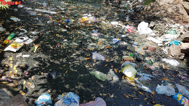 Theo quan sát, nước từ kênh Khe Cạn chảy về qua địa bàn phường Thanh Khê Tây là đoạn cuối nên gần như "hứng" đủ tất cả ô uế từ thượng nguồn đổ về. Từ đây, dòng nước đen ngòm chảy thẳng ra sông Phú Lộc gây nguy cơ ô nhiễm môi trường nghiêm trọng.