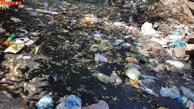 Theo quan sát, nước từ kênh Khe Cạn chảy về qua địa bàn phường Thanh Khê Tây là đoạn cuối nên gần như "hứng" đủ tất cả ô uế từ thượng nguồn đổ về. Từ đây, dòng nước đen ngòm chảy thẳng ra sông Phú Lộc gây nguy cơ ô nhiễm môi trường nghiêm trọng.