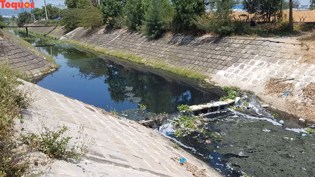 Đặc biệt, dòng nước đen ngòm từ kênh Khe Cạn chảy thẳng ra sông Phú Lộc gây nguy cơ ô nhiễm môi trường nghiêm trọng.