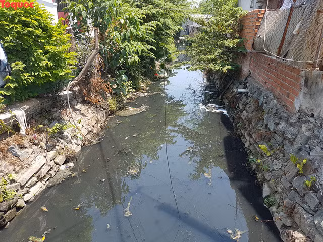 Hàng trăm hộ dân nơi đây mong cơ quan chức năng sớm giải quyết tình trạng này để họ yên tâm sinh sống.