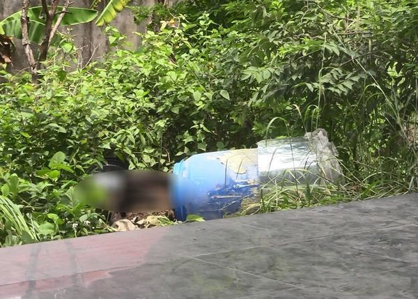 Tử thi thứ hai cao khoảng 1,61m, khoảng 35 tuổi, tóc ngắn, mặc áo thun trắng, bên ngoài mặc áo khoác đen có mũ cùng quần dài thể dục màu xanh đen. Xác chết này được giấu trong một thùng phi xanh bằng nhựa được đổ đầy trà rồi quấn chặt bằng xốp, dán silicon.