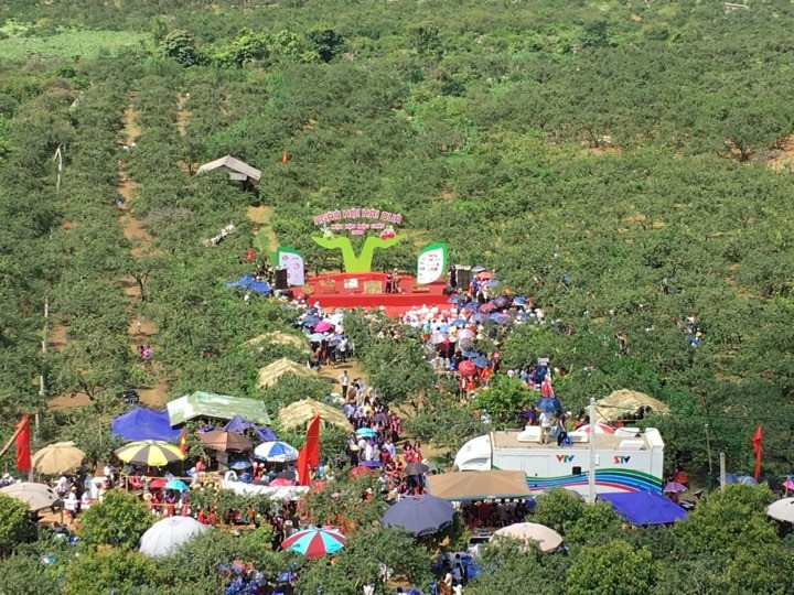 Son La: Xem gai Mong thi hai man tai Moc Chau-Hinh-5