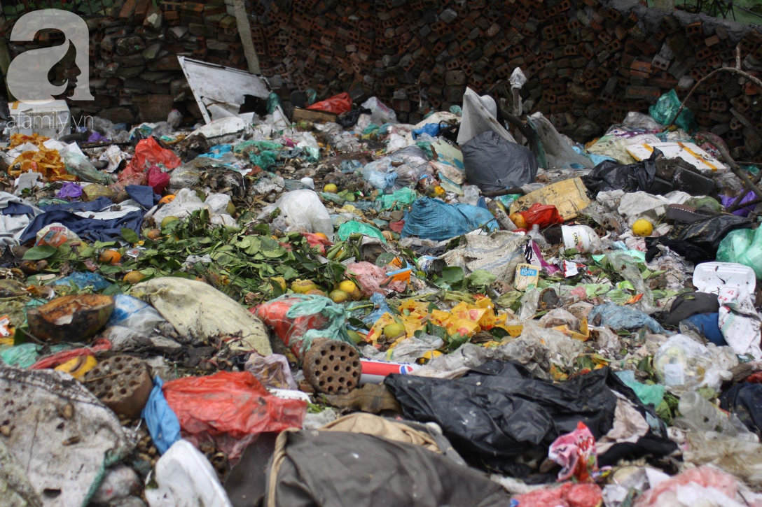 Núi rác khổng lồ, từ phế liệu, chất thải rắn đến đồ nhự bỏ và rất nhiều bao bì cùng hoa quả hư hỏng được đổ dồn ra đây.