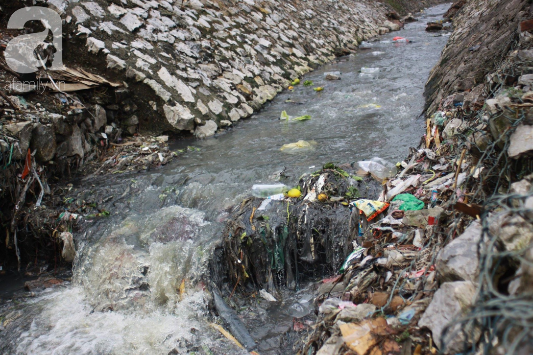 Dọc con đường đi vào khu dân cư tổ 7 có hai biển cấm đổ rác nhưng dường như những tấm biển chỉ có tác dụng tượng trưng, rác thải vẫn la liệt xung quanh mặc cho có hay không có biển cấm đổ rác.