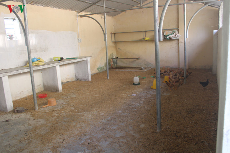 Khu vực nhà bếp được tận dụng để nuôi gà.