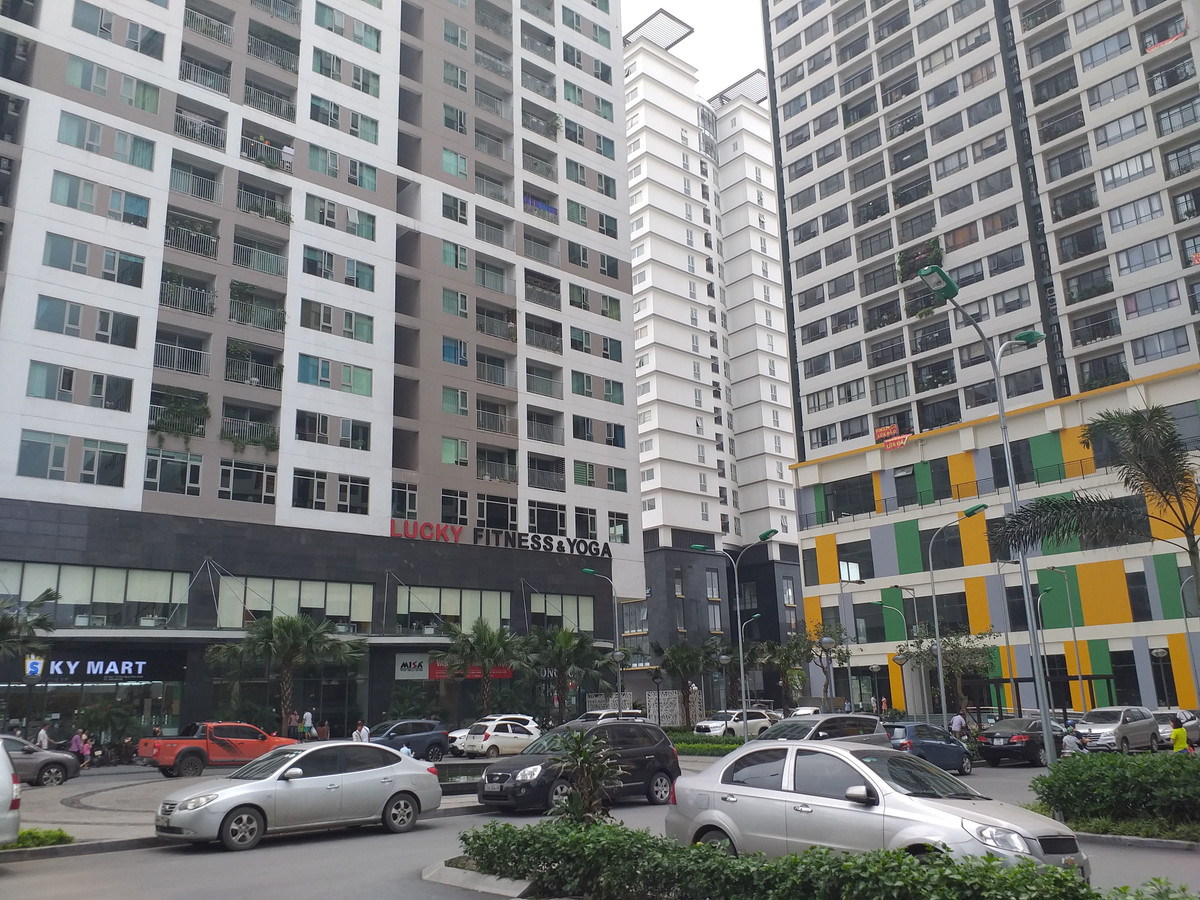 Vào năm 2017, cư dân nơi đây cũng đã từng tổ chức xuống đường phản đối chủ đầu tư Tổng Công ty Xây dựng Hà Nội (Hancorp) xây bệnh viện trong khu Ngoại Giao Đoàn.