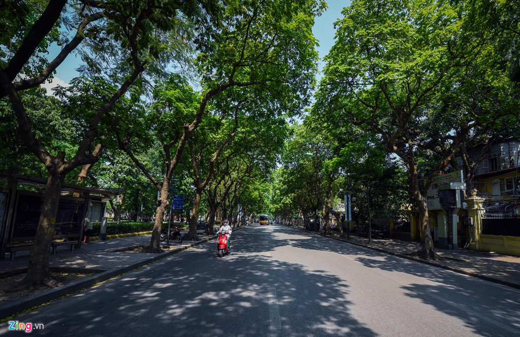 Tuy nhiên, Hà Nội còn nhiều tuyến phố rợp bóng cây xanh làm giảm bớt oi bức cho người qua lại như Phan Đình Phùng, Trần Phú, Thanh Niên...