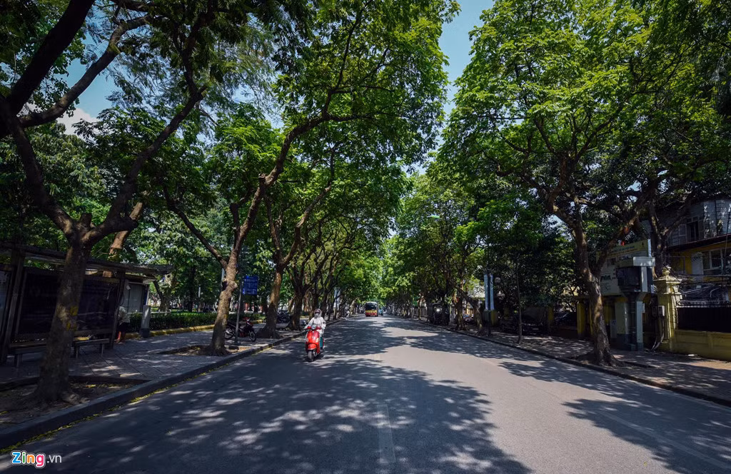 Tuy nhiên, Hà Nội còn nhiều tuyến phố rợp bóng cây xanh làm giảm bớt oi bức cho người qua lại như Phan Đình Phùng, Trần Phú, Thanh Niên...