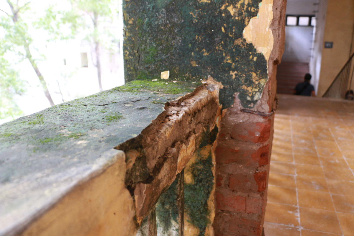 Rêu mọc lên ẩm mốc.